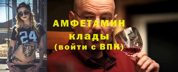 дживик Пересвет