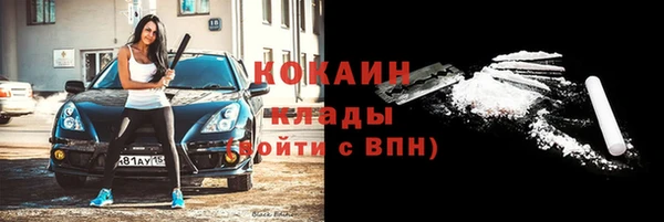 дживик Пересвет