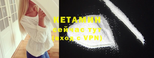 дживик Пересвет
