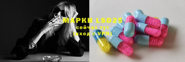 мдпв Пестово