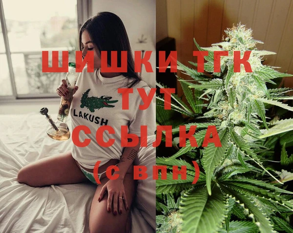 дживик Пересвет