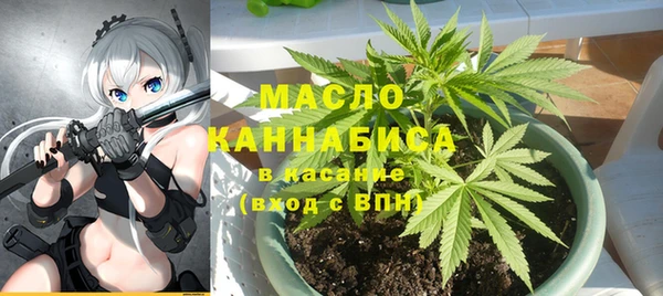дживик Пересвет