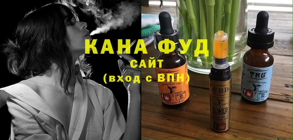 мдпв Пестово