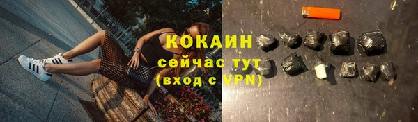 мдпв Пестово